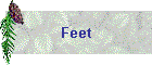 Feet