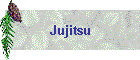 Jujitsu