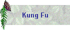 Kung Fu