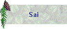 Sai